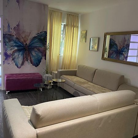 Dorotea Butterfly Budva Luaran gambar