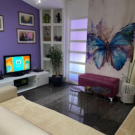 Dorotea Butterfly Budva Luaran gambar