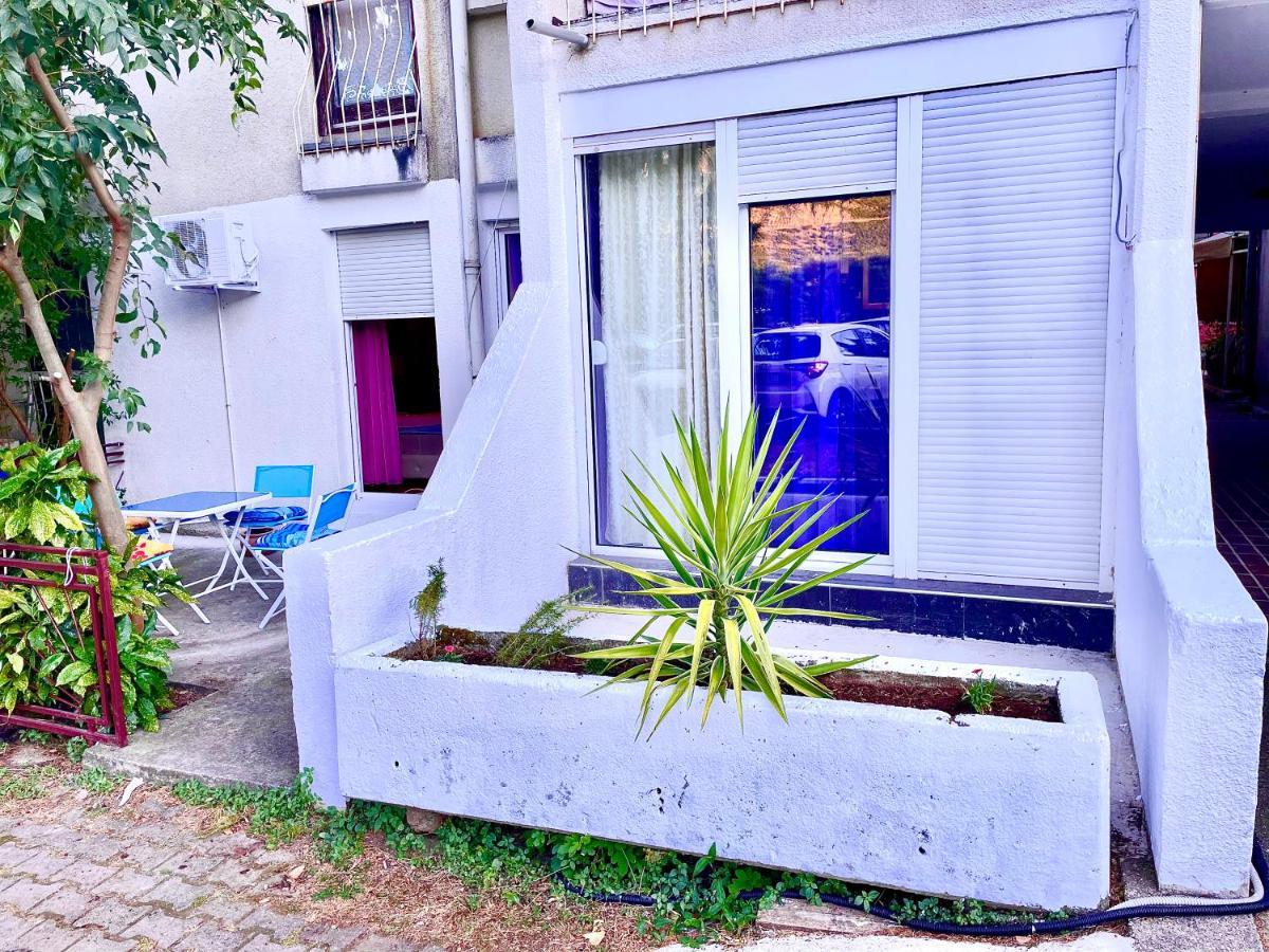 Dorotea Butterfly Apartment Budva Luaran gambar