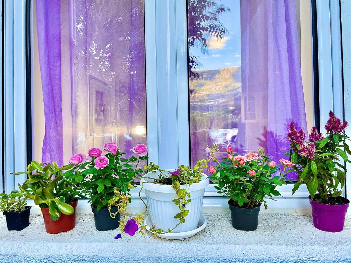 Dorotea Butterfly Apartment Budva Luaran gambar