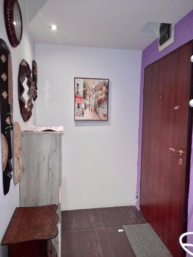 Dorotea Butterfly Apartment Budva Luaran gambar