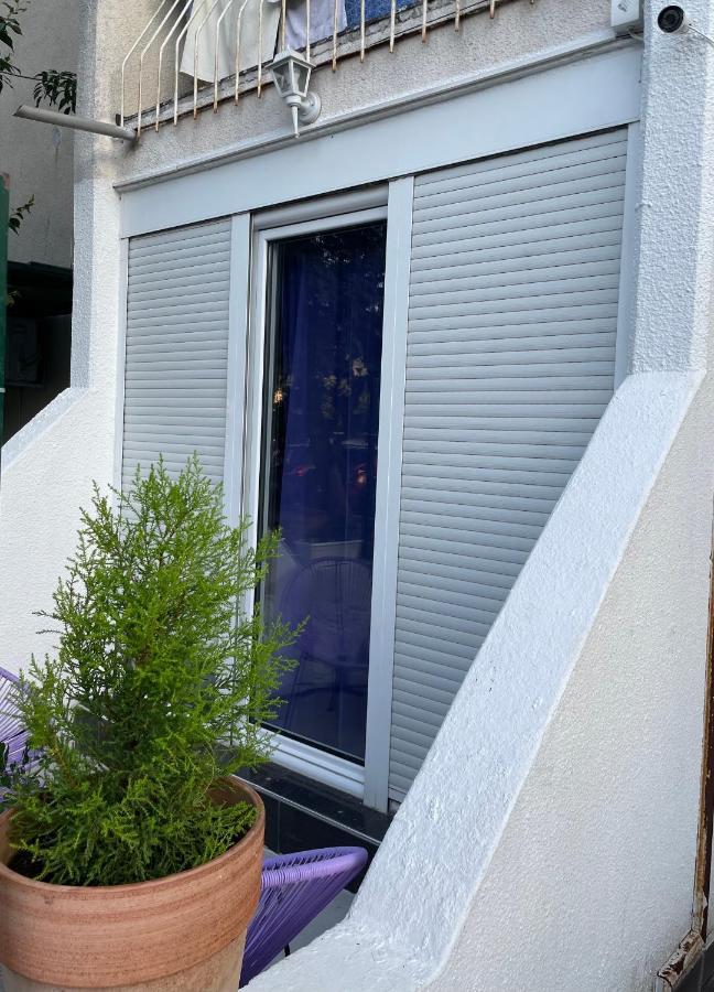Dorotea Butterfly Apartment Budva Luaran gambar