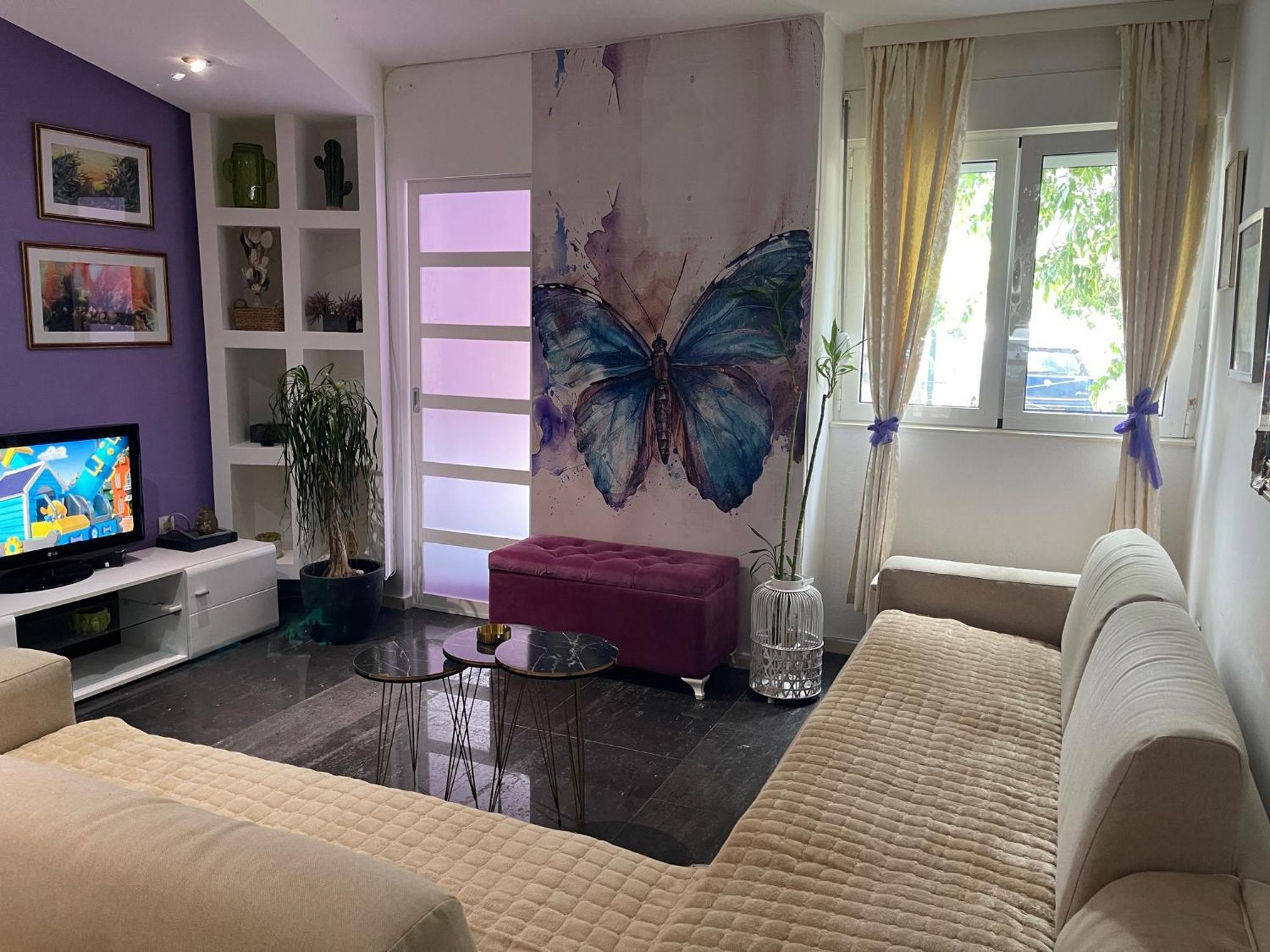 Dorotea Butterfly Budva Luaran gambar