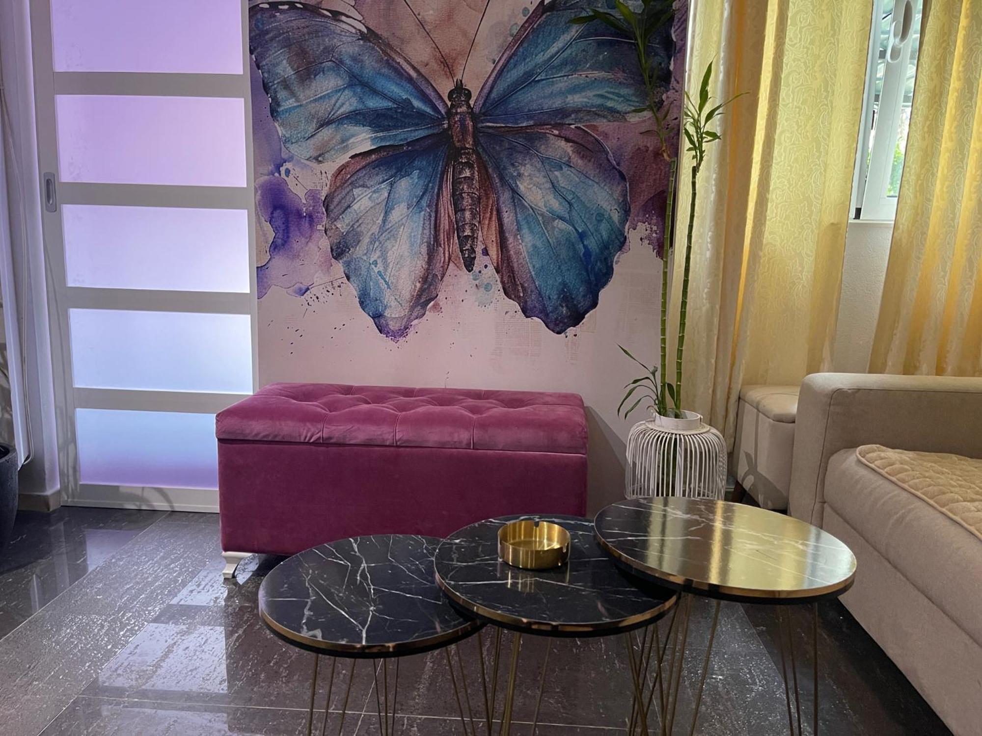 Dorotea Butterfly Apartment Budva Luaran gambar